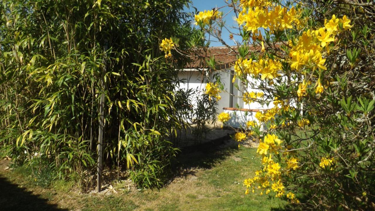 Breesfalt Gite Accomodation Villa Maisonnais-Sur-Tardoire Exterior photo